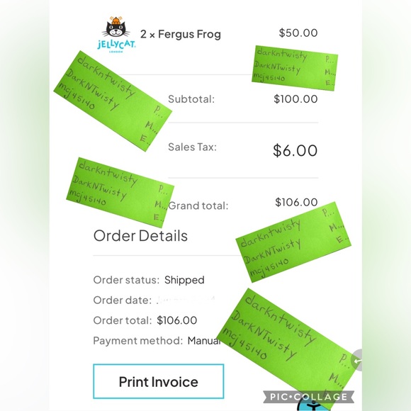 BNWT JELLYCAT FERGUS FROG BASKET STUFFER W PURCHASE RECEIPTS - Picture 15 of 16